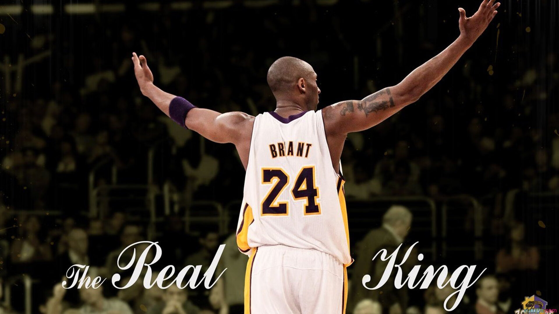 九游体育下载-_森林狼迎来反弹，球队士气大增_，森林狼近况