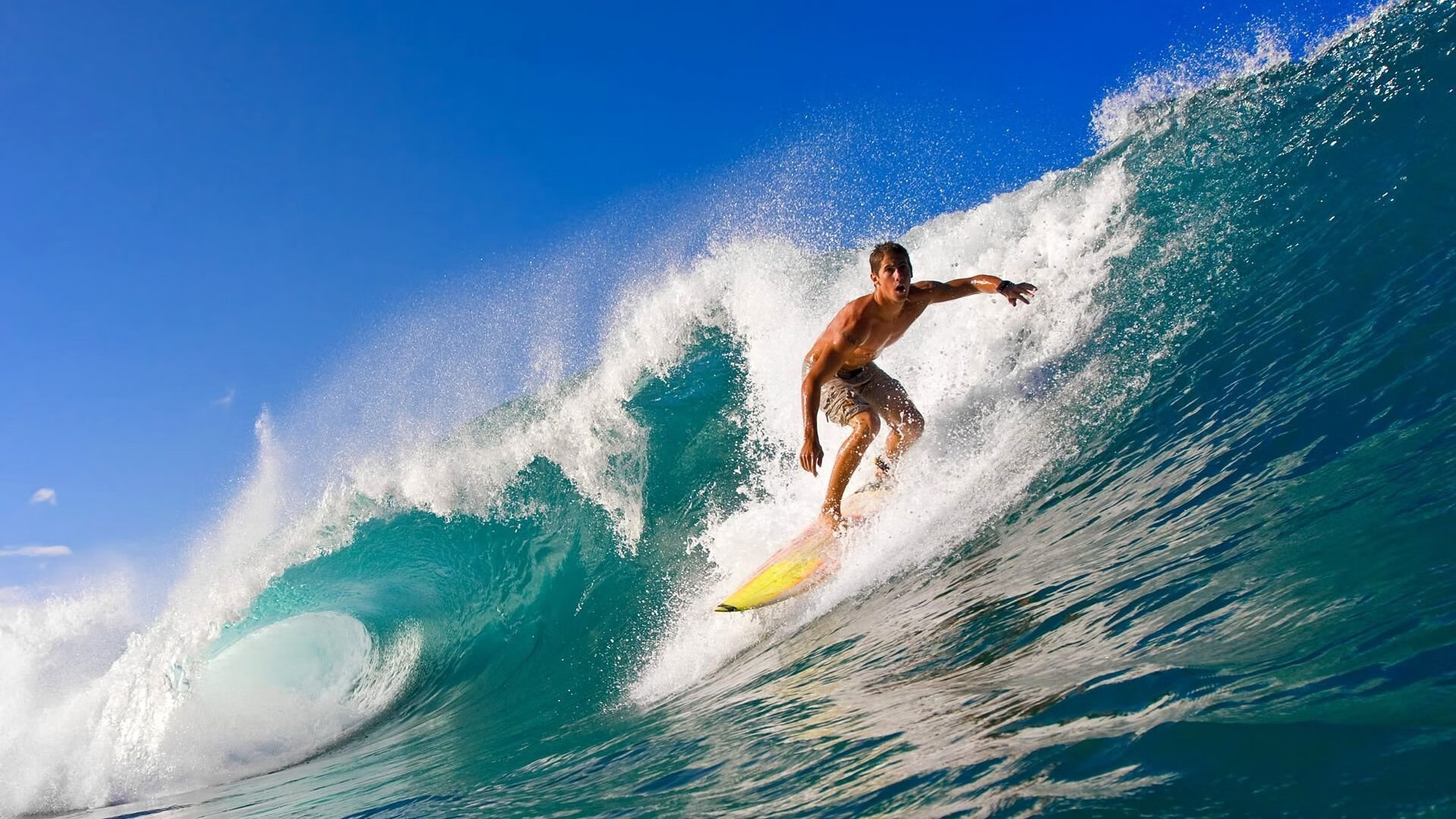 传统武术夏令营,传承技艺激发潜能,武术夏令营10天计划